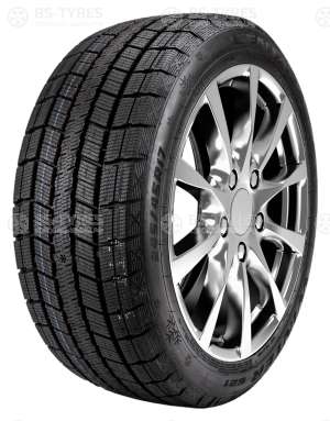 Centara Winter RX621 195/65 R15 91T