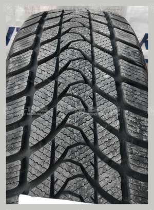 Delinte Winter WD1 185/60 R15 84H