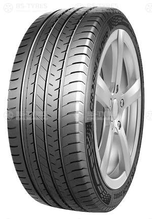 Doublestar DSU02 255/50 R19 107W