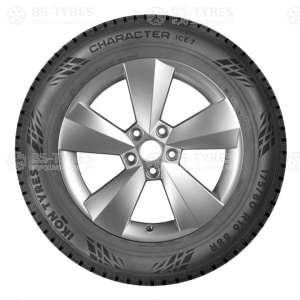 Ikon (Nokian Tyres) Character Ice 7 (Nordman 7) SUV 215/70 R16 100T